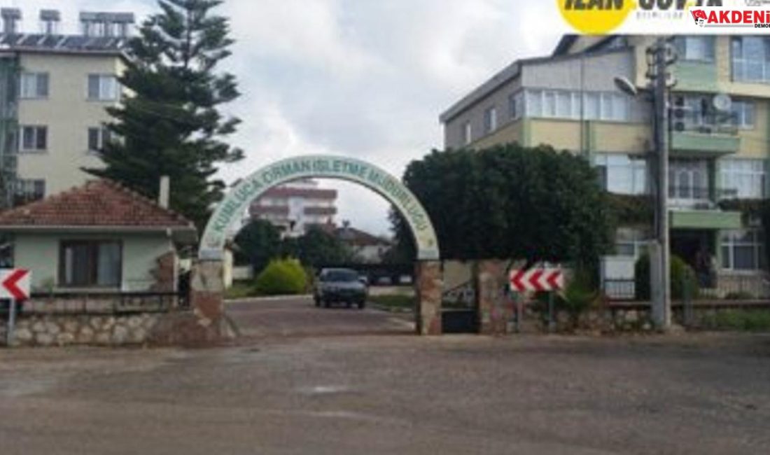 Orman İşletme Müdürlüğü'nde hizmet alımı yapılacak