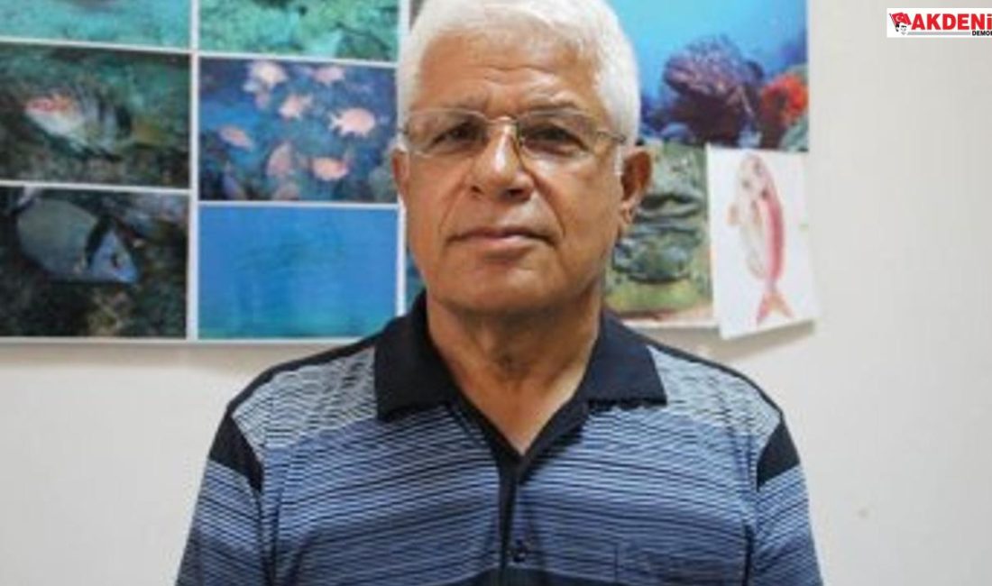 'Foklar rahatsız edilmemeli'