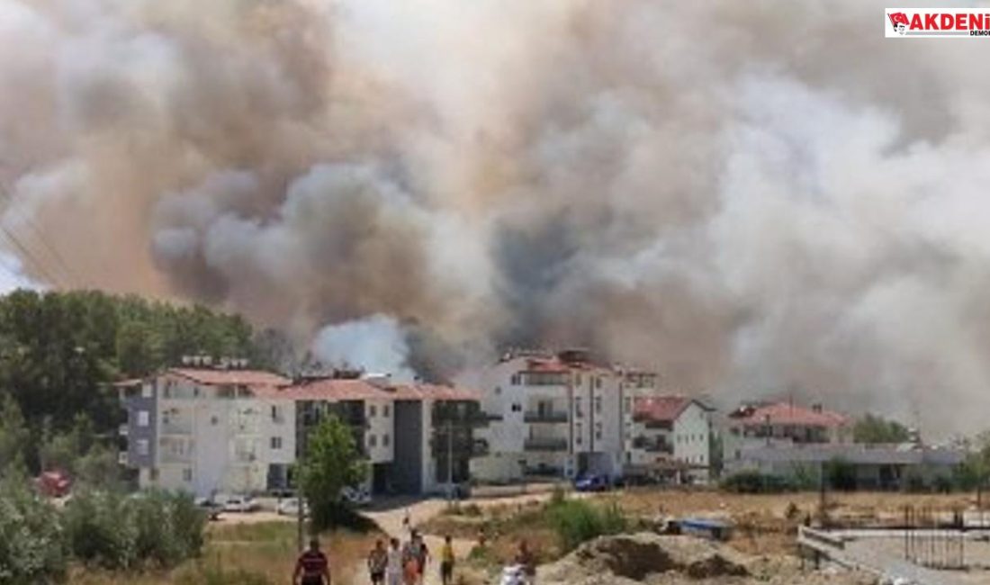 Manavgat'ta yeniden orman yangını çıktı