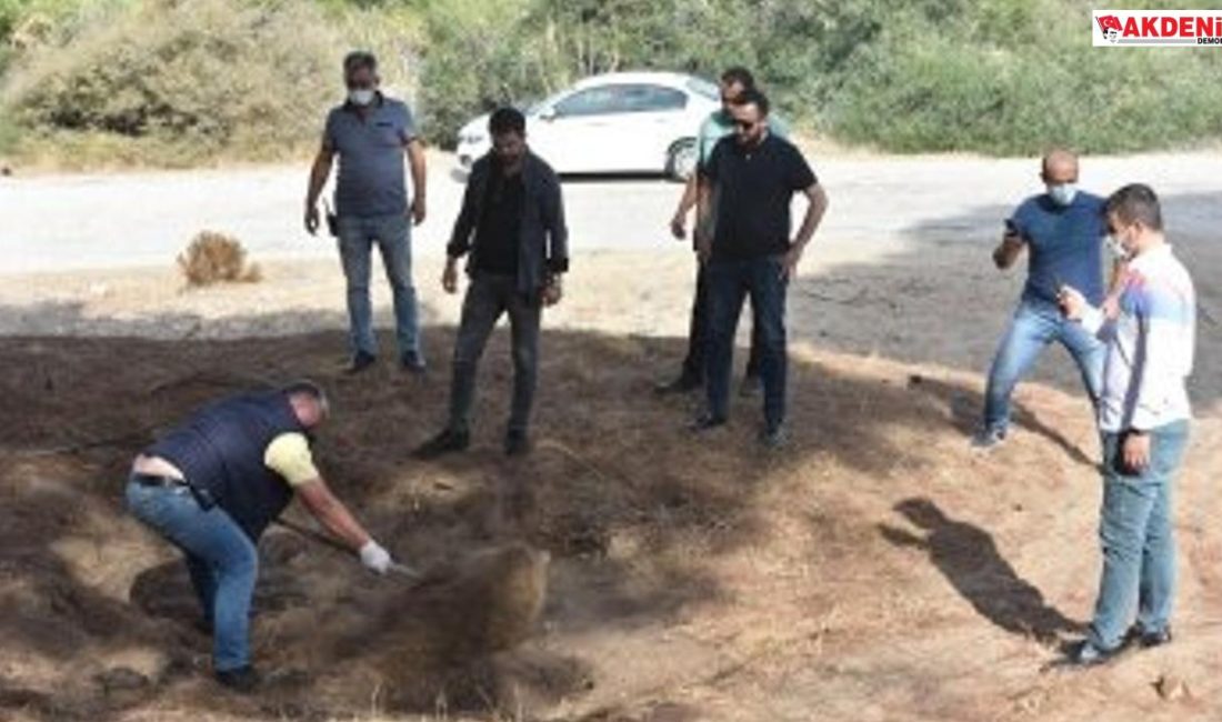 Mezar ihbarı boş çıkınca ekipler çukuru kapatıp döndü