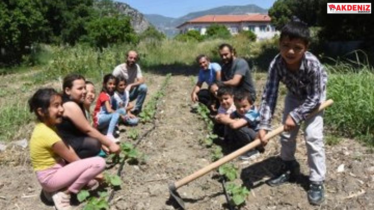Özel öğrenciler sebze üretimi yapıyor