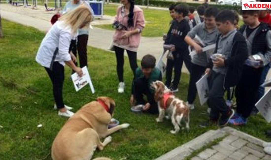Öğrencilerden sokak hayvanlarına anlamlı etkinlik