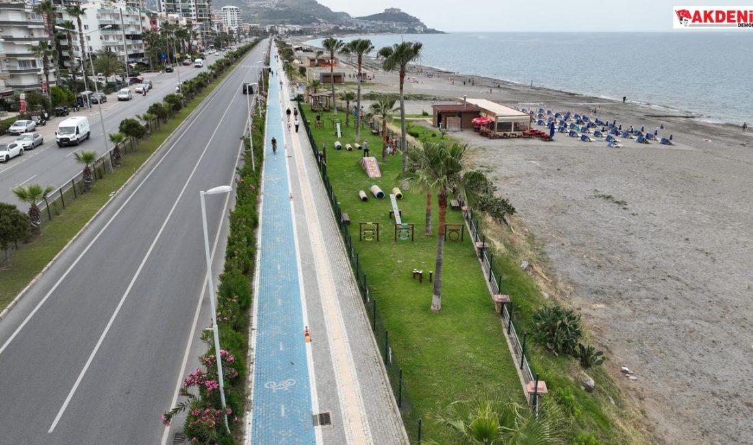 Alanya'da köpekler için oyun ve eğitim parkı