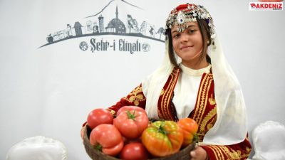 Elmalı'da domates festivali